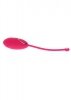 ToyJoy Ivy Lily Remote Egg